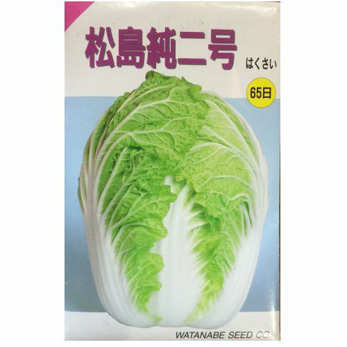 在来固定種野菜の種「京都三号白菜」5ml〔約1050粒〕畑懐〔はふう〕