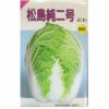 在来固定種野菜の種「京都三号白菜」5ml〔約1050粒〕畑懐〔はふう〕
