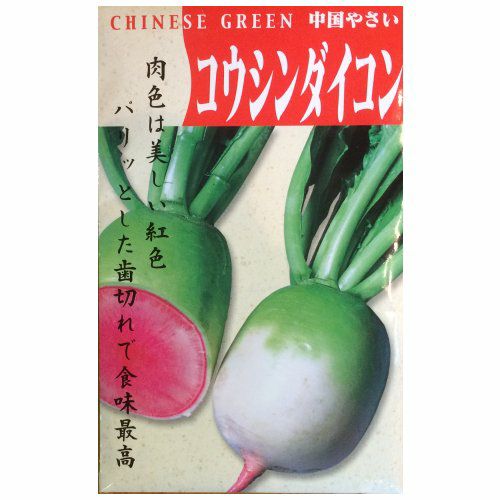 【秋蒔き野菜】在来固定種野菜の種「打木源助大根」13ml〔約580粒〕畑懐〔はふう〕