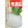 在来固定種野菜の種「天王寺カブ」5ml〔約1250粒〕畑懐〔はふう〕