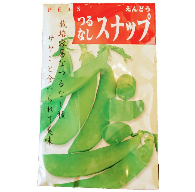 在来種 固定種 野菜のタネ つるなしスナップエンドウml 約40粒 畑懐 はふう の種