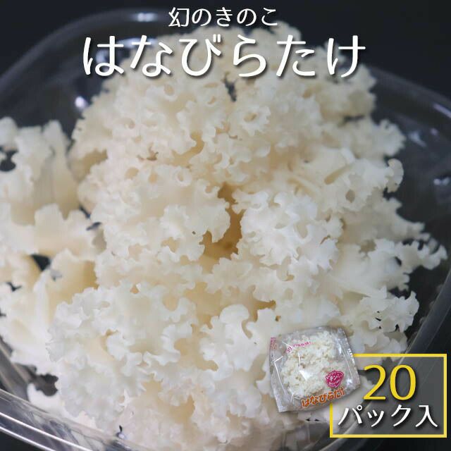 【産地直送】【送料無料】南信州産・はなびらたけ１箱〔20パック入〕飯田市／きのこや松下