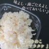 【産地直送】【送料無料】南信州産・はなびらたけ１箱〔20パック入〕飯田市／きのこや松下