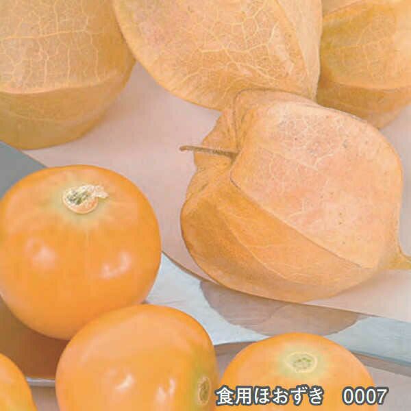 紫えんどうのタネ約30粒入り無農薬・無化学肥料たねの森【メール便可】