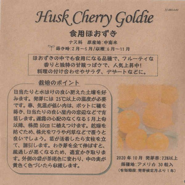 コールラビ（パープルヴィエナ）のタネ約100粒入り無農薬・無化学肥料・固定種たねの森【メール便可】
