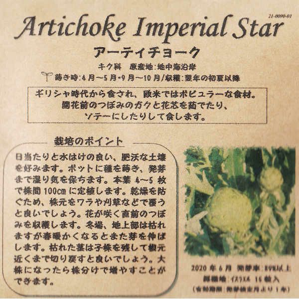 ラシネートケールのタネ約150粒入り無農薬・無化学肥料・固定種たねの森【メール便可】