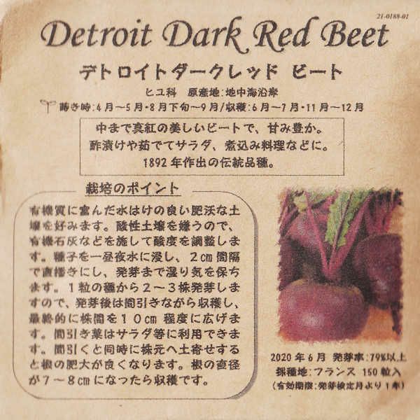 セージのタネ約100粒入り無農薬・無化学肥料・固定種たねの森【メール便可】