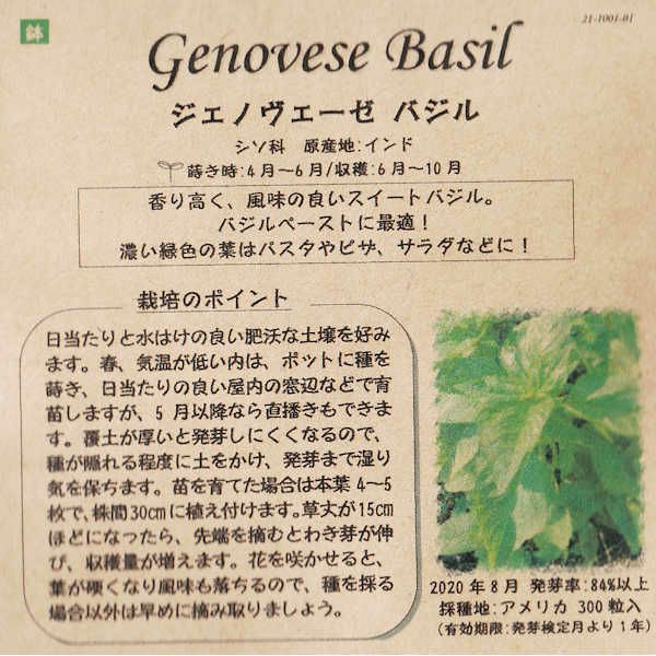 セージのタネ約100粒入り無農薬・無化学肥料・固定種たねの森【メール便可】