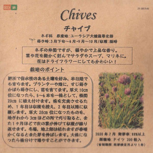 セージのタネ約100粒入り無農薬・無化学肥料・固定種たねの森【メール便可】