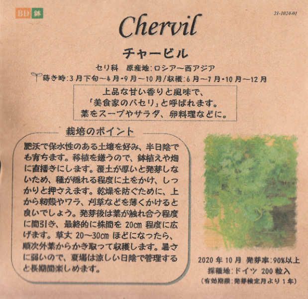 セージのタネ約100粒入り無農薬・無化学肥料・固定種たねの森【メール便可】