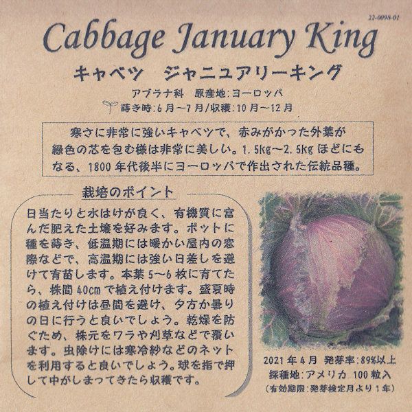 キャベツジャヌアリーキングのタネ約100粒入り無農薬・無化学肥料・固定種たねの森【メール便可】
