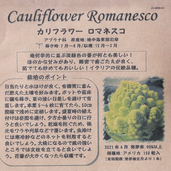 キャベツレッドエクスプレスのタネ約150粒入り無農薬・無化学肥料・固定種たねの森【メール便可】