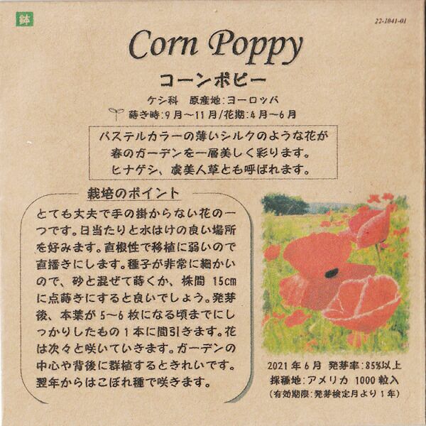 アーティチョークのタネ約15粒入り無農薬・無化学肥料・固定種たねの森【メール便可】