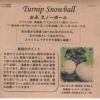 アーティチョークのタネ約15粒入り無農薬・無化学肥料・固定種たねの森【メール便可】