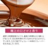 第3世界ショップArtisan有機ミルクチョコレート50g