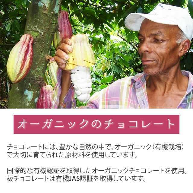 第3世界ショップフェアトレードチョコレートホワイトチョコレート〔カカオ45%〕100g