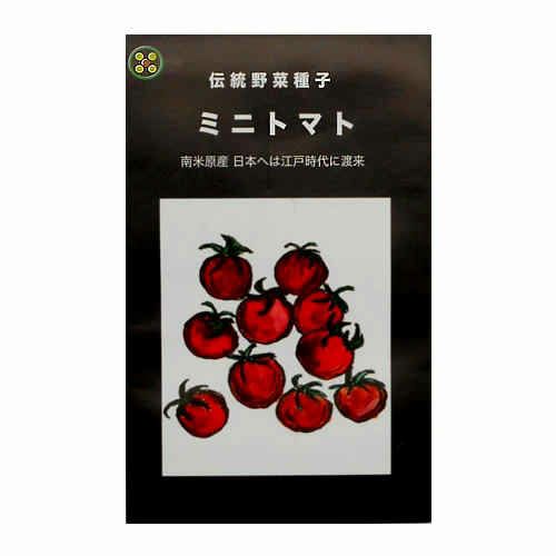 在来固定種野菜の種「ミニトマト」0.5m〔約80粒〕畑懐〔はふう〕