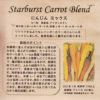 セージのタネ約100粒入り無農薬・無化学肥料・固定種たねの森【メール便可】