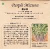 紅菜苔のタネ約150粒入り無農薬・無化学肥料・固定種たねの森【メール便可】