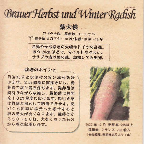 アーティチョークのタネ約15粒入り無農薬・無化学肥料・固定種たねの森【メール便可】