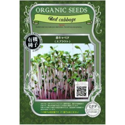 有機種子赤キャベツスプラウト小袋12g