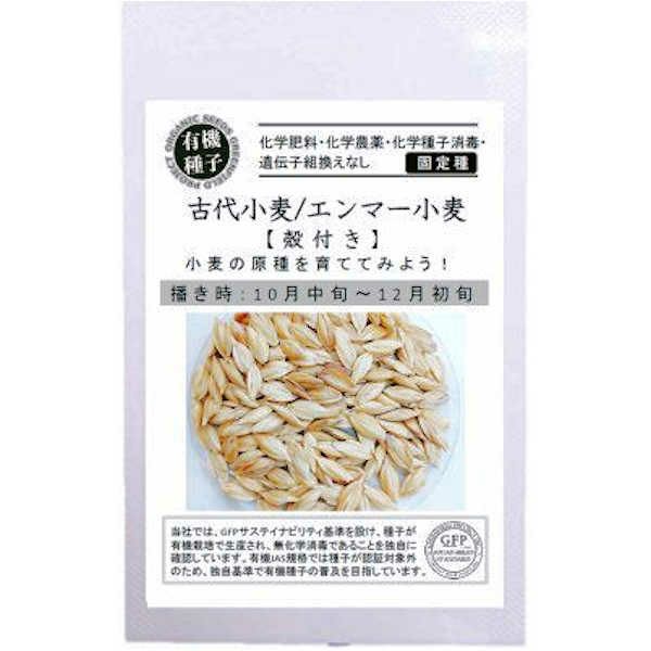 こぼれ種シリーズ里山の花の種「金蓮花〔ナスタチュウム」畑懐〔はふう〕