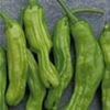 紫えんどうのタネ約30粒入り無農薬・無化学肥料たねの森【メール便可】