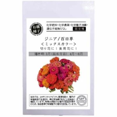 有機種子ジニア 百日草 ミックスカラーの種12粒