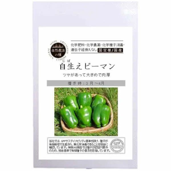 こぼれ種シリーズ里山の花の種「金蓮花〔ナスタチュウム」畑懐〔はふう〕
