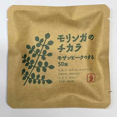 モリンガのチカラ　 モザンビークのモリンガ種子50粒
