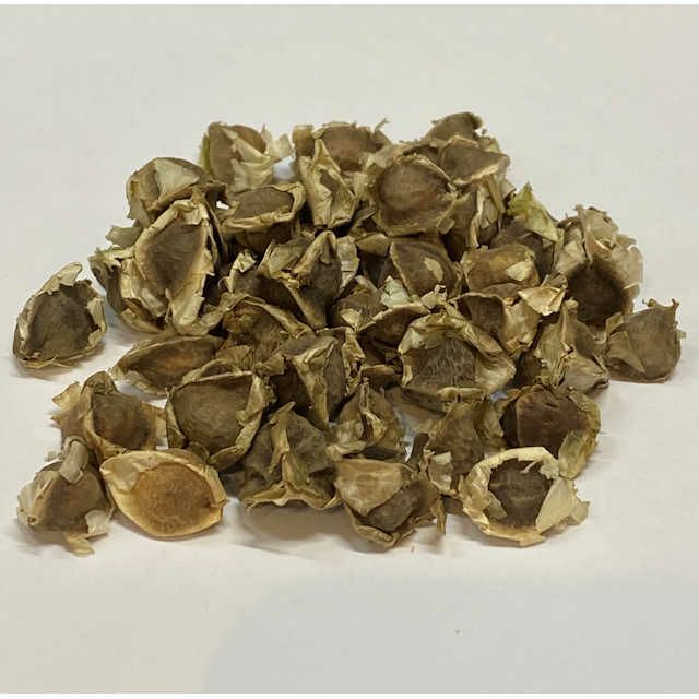 モリンガのチカラタブレット250粒【3点までメール便可】