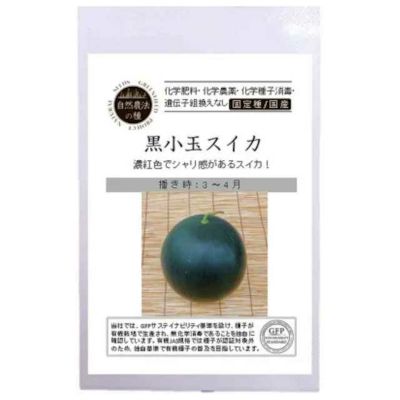 自然農法種子黒小玉すいかの種10粒
