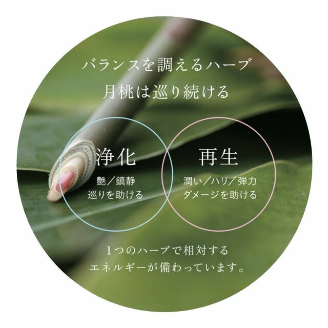 ムーンピーチ〔シマ/タイリン〕月桃ノ葉蒸留水ビッグボトル200ml