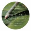 ムーンピーチ〔シマ/タイリン〕月桃ノ葉蒸留水ビッグボトル200ml