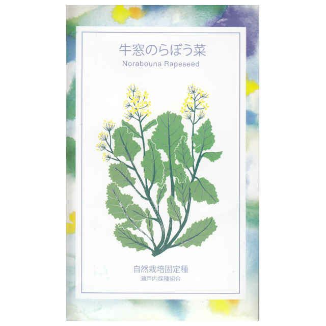 【秋蒔き野菜】在来固定種野菜の種「三陸つぼみ」5ml〔約1250粒〕畑懐〔はふう〕