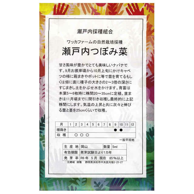 在来固定種野菜の種「丸葉小松菜」8ml〔約2000粒〕畑懐〔はふう〕