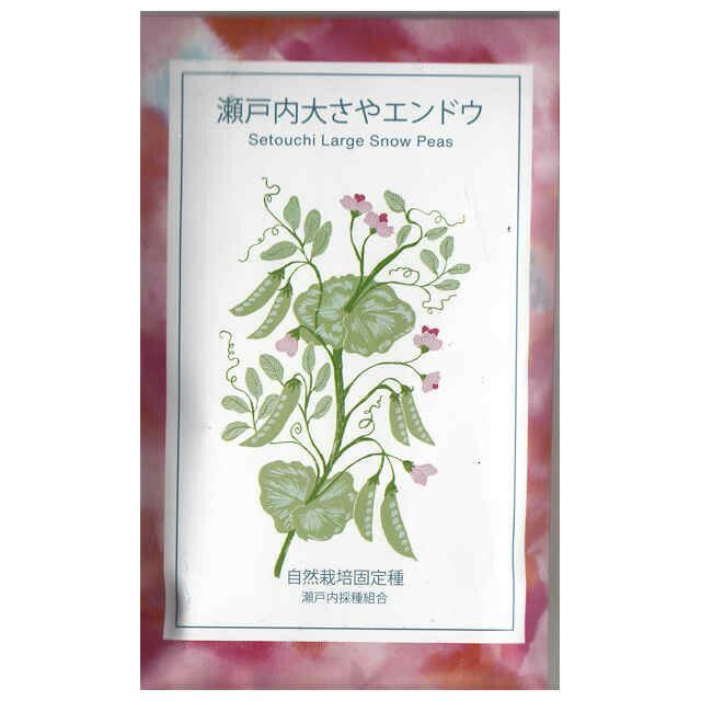 在来固定種野菜の種「うすいグリーンピース〔実えんどう〕」30ml〔約60粒〕畑懐〔はふう〕