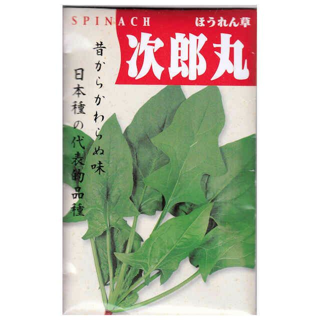 在来固定種野菜の種「豊葉ほうれん草」80ml〔約2400粒〕畑懐〔はふう〕