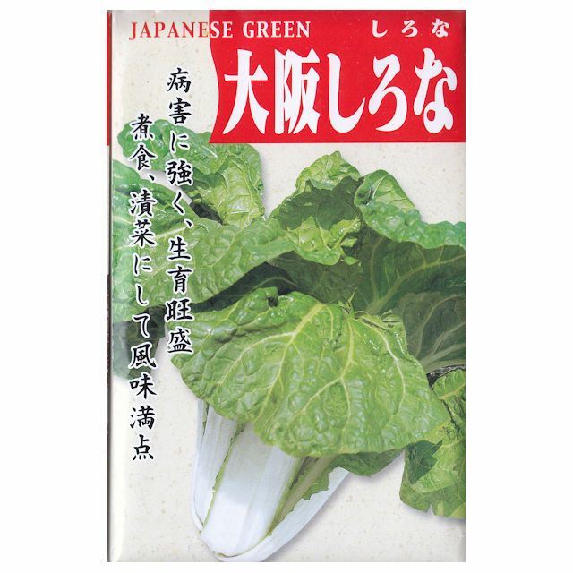 天然山菜、薬草、ナズナ、荠菜種、約1000粒 眩しい