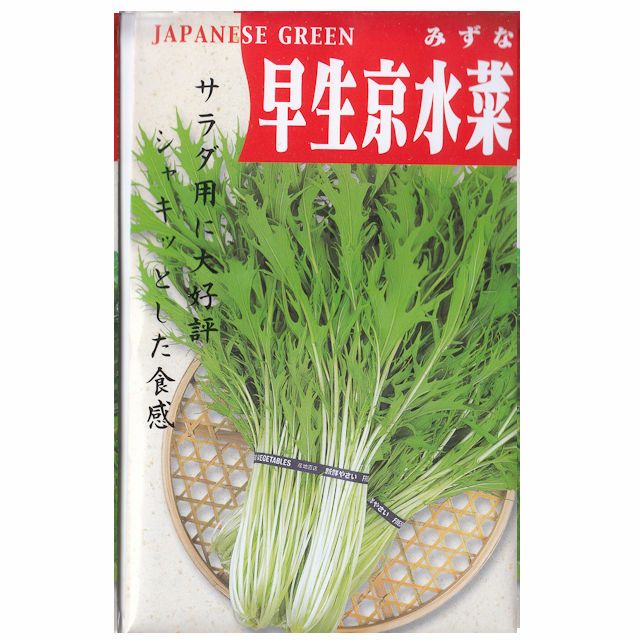 在来固定種野菜の種「千筋京水菜」8ml〔約2200粒〕畑懐〔はふう〕