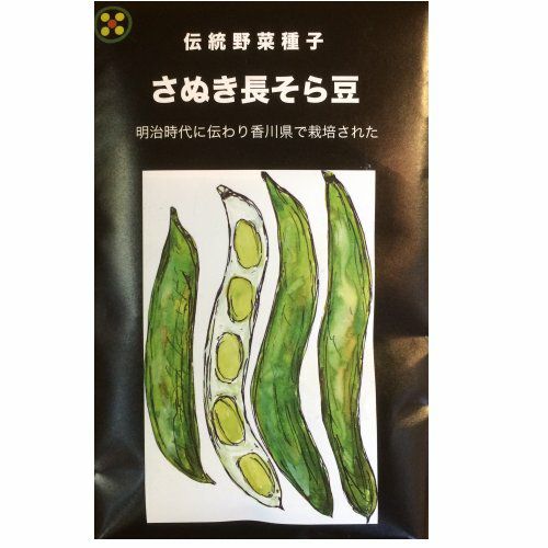 在来固定種野菜の種「赤花つるなし絹さやえんどう」20ml〔約85粒〕畑懐〔はふう〕