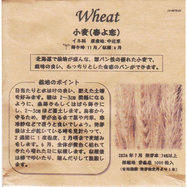 紫えんどうのタネ約30粒入り無農薬・無化学肥料たねの森【メール便可】