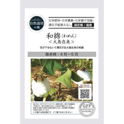 自然栽培の種和綿 大島在来の種約15粒