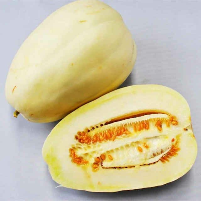 【新たね入荷】有機種子メロンきゅうり/マイクロキュウリ25粒