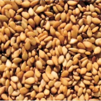 金ゴマのタネ約200粒入り　無農薬・無化学肥料・固定種 たねの森【メール便可】