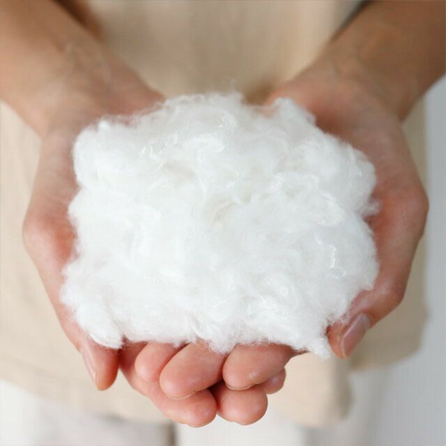 TAKEFUHARMONIAハルモニア【メール便可】