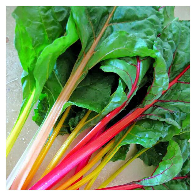スイスチャードカラフルの種1.1g