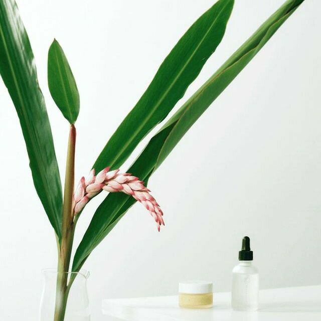 ムーンピーチチェリッシュフラワーオイル60ml