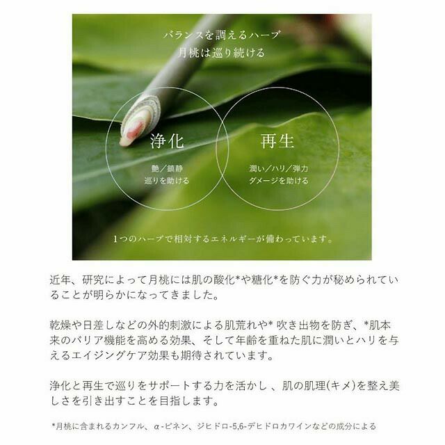 ムーンピーチチェリッシュフラワーオイル60ml