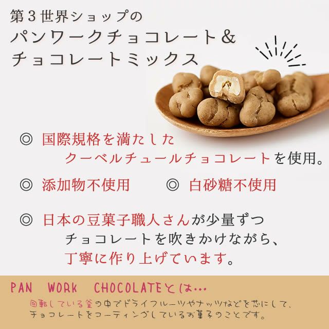 第3世界ショップフェアトレードチョコレートレーズンチョコ50g